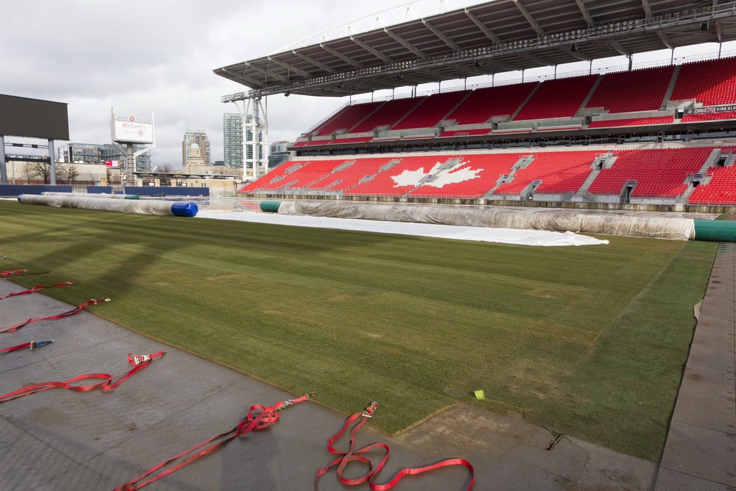 36743164995_d76d331edd_o