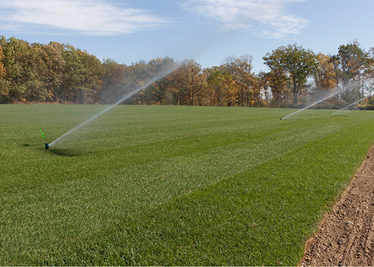 Hydrating Freshly Laid Turf